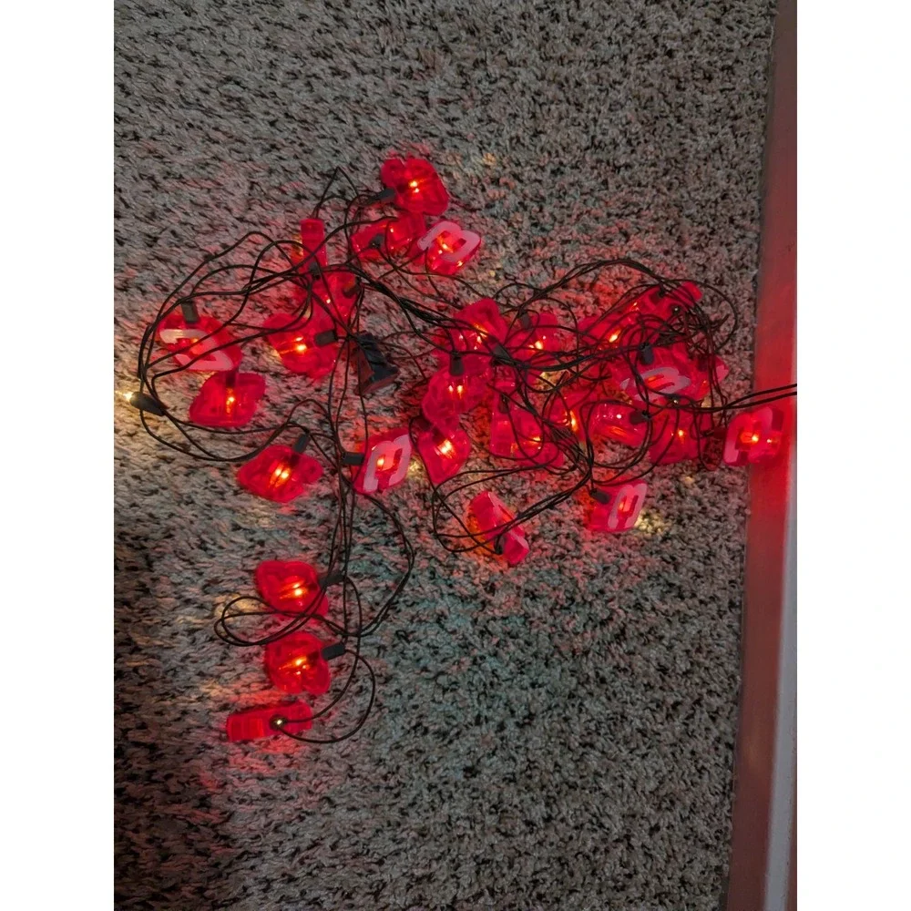Vintage‎ Dale Earnhardt Christmas/String Lights